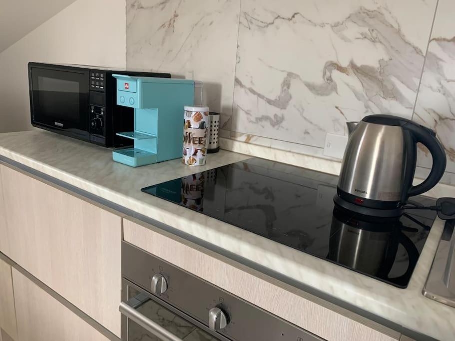 Carolas Luxury House フィウミチーノ エクステリア 写真